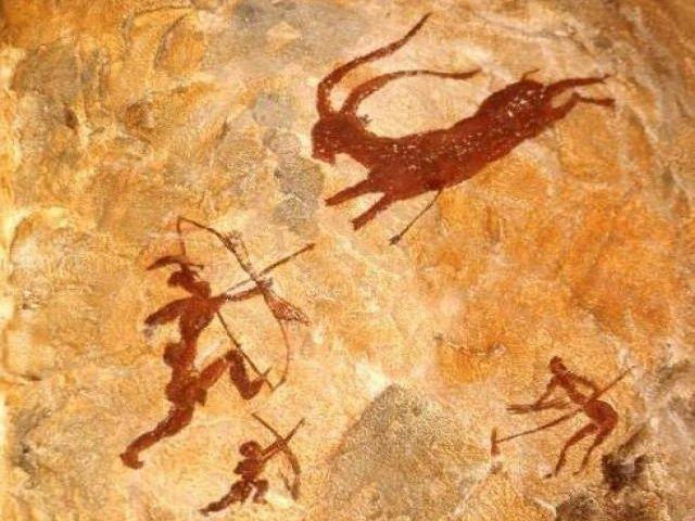 Plant-based diets, the middle ground - Sustyfoods Singapore